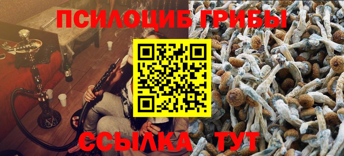 Реутов  Галлюциногенные грибы прущие грибы  Вход с VPN 