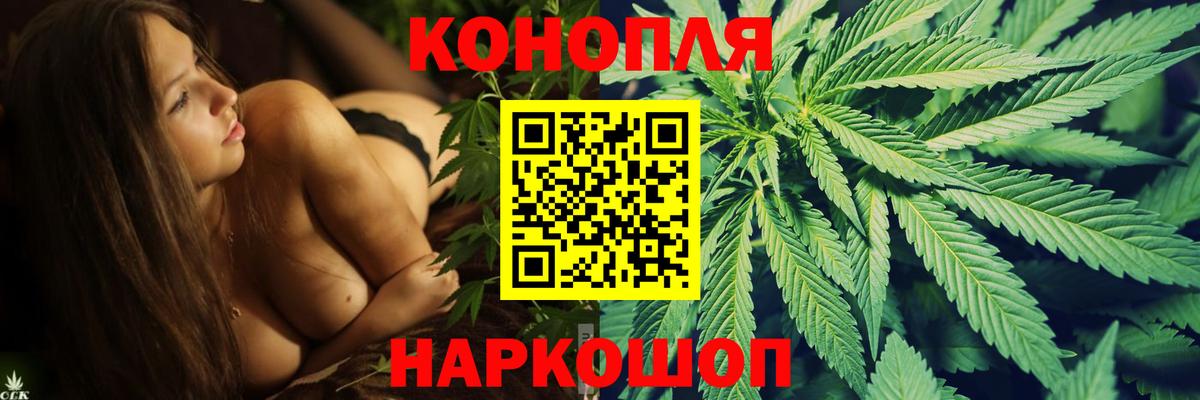 Шишки марихуана Amnesia  Вход с VPN  Шишки марихуана сатива  Шишки марихуана OG Kush  Реутов 